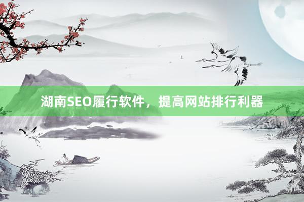 湖南SEO履行软件，提高网站排行利器